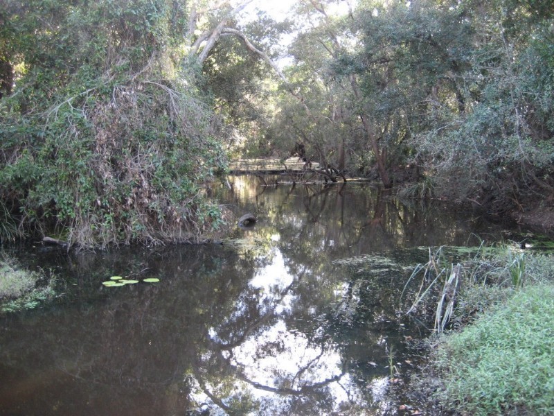 384 Ten Mile Road, Sharon QLD 4670