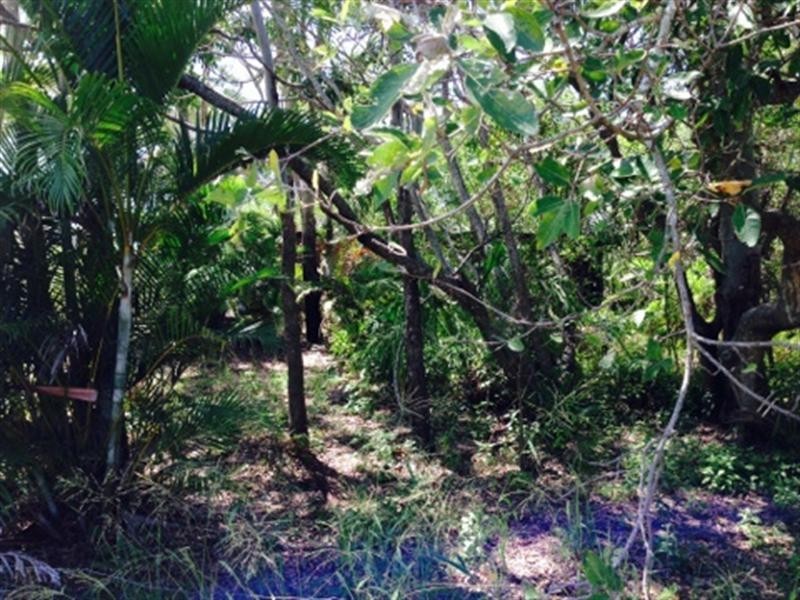 90 Sylvan Drive, Moore Park Beach QLD 4670