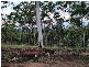 Gin Gin QLD 4671