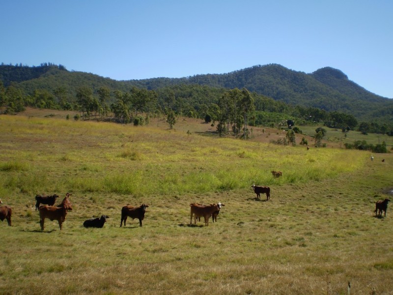 Mount Perry QLD 4671