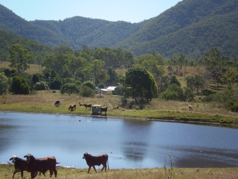 Mount Perry QLD 4671