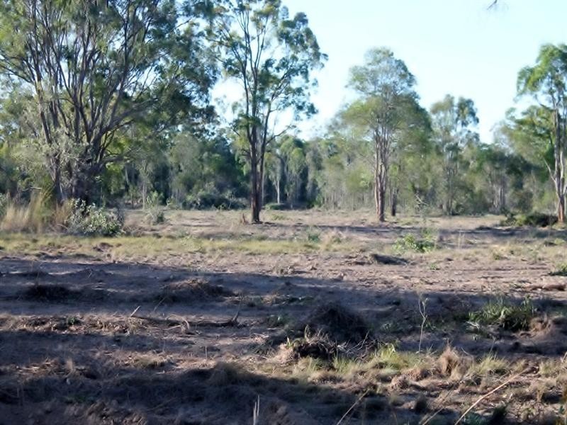 7 Low Street, Kensington QLD 4670