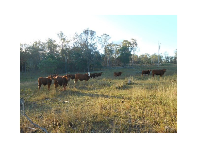 104 Kings Road, Apple Tree Creek QLD 4660