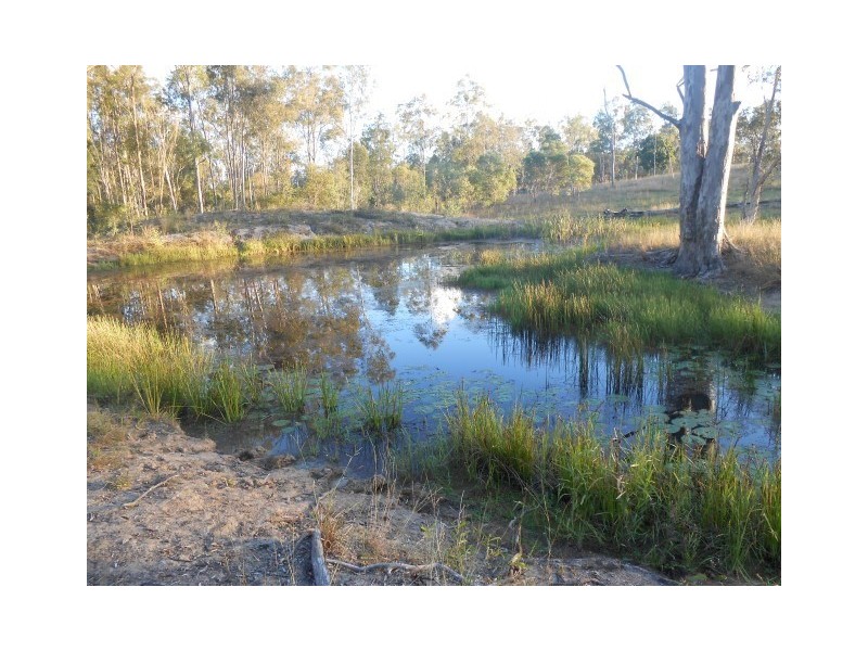 104 Kings Road, Apple Tree Creek QLD 4660