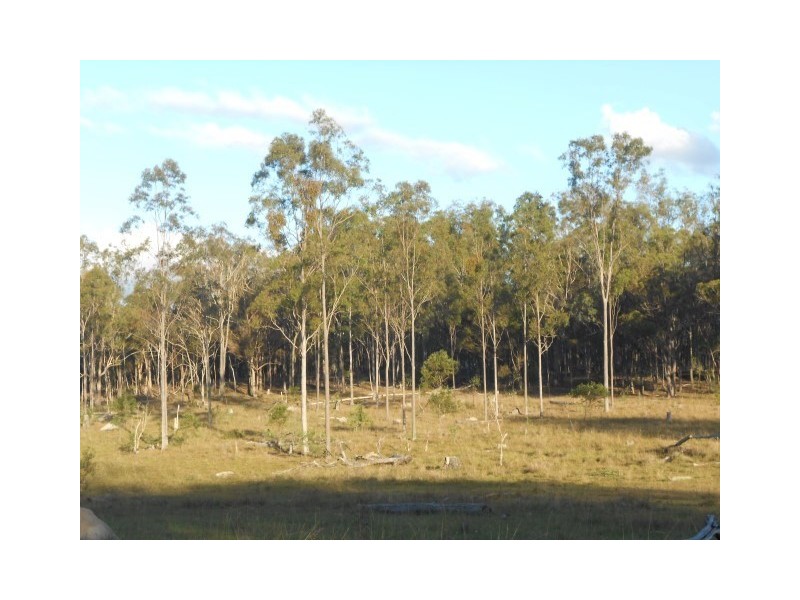 104 Kings Road, Apple Tree Creek QLD 4660