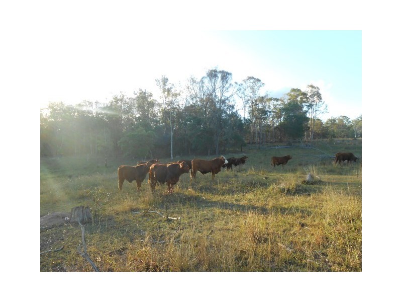 104 Kings Road, Apple Tree Creek QLD 4660