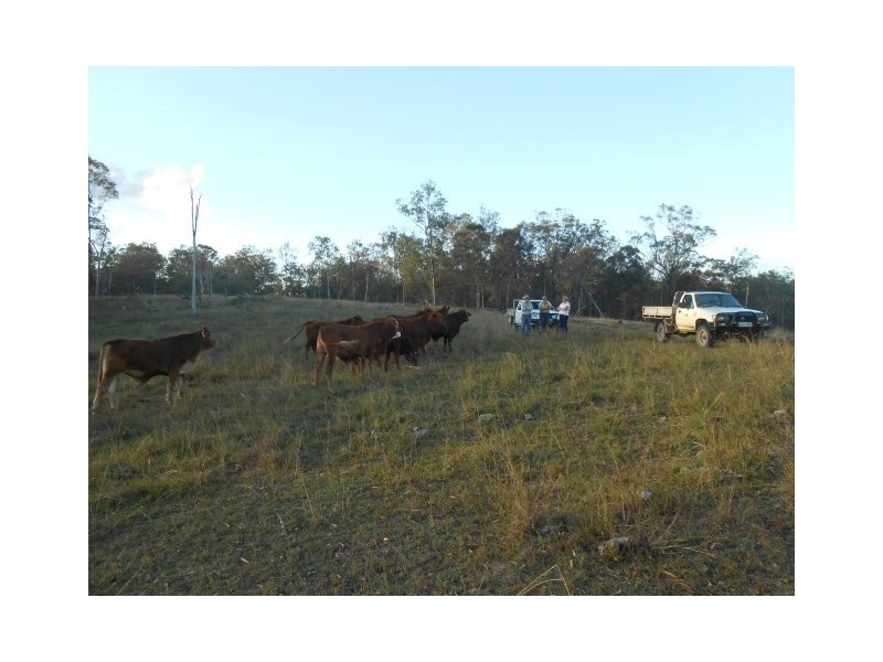 104 Kings Road, Apple Tree Creek QLD 4660