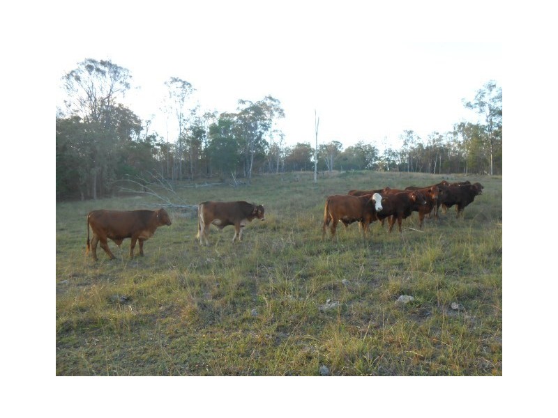 104 Kings Road, Apple Tree Creek QLD 4660