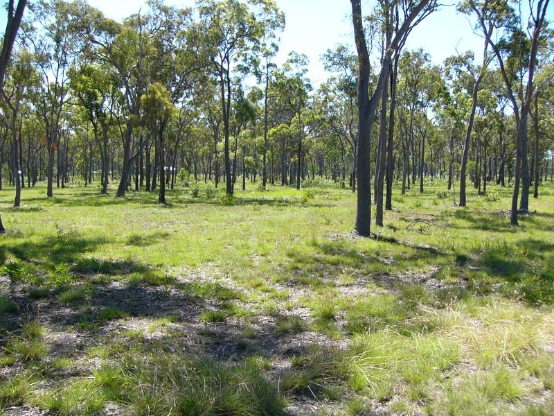 Moore Park Beach QLD 4670