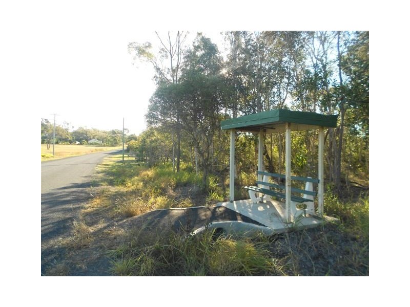 13 Fern Tree Drive, Coonarr QLD 4670