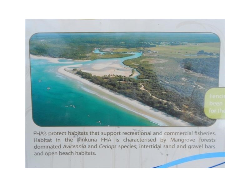 13 Fern Tree Drive, Coonarr QLD 4670