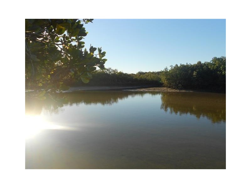 13 Fern Tree Drive, Coonarr QLD 4670