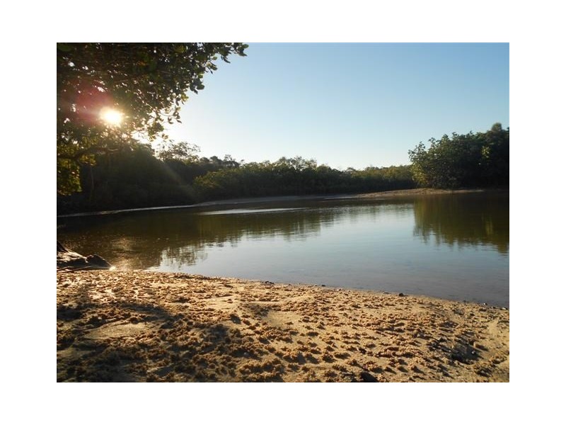 13 Fern Tree Drive, Coonarr QLD 4670