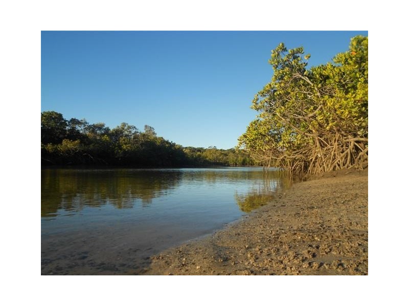 13 Fern Tree Drive, Coonarr QLD 4670