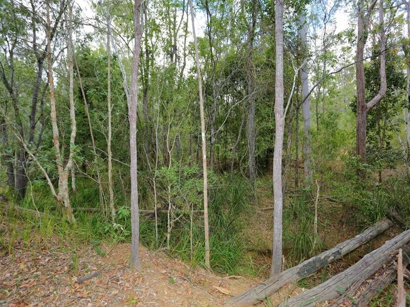 159 Hills Road, South Bingera QLD 4670