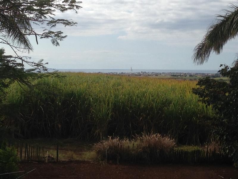 5 Hummock Road, Qunaba QLD 4670