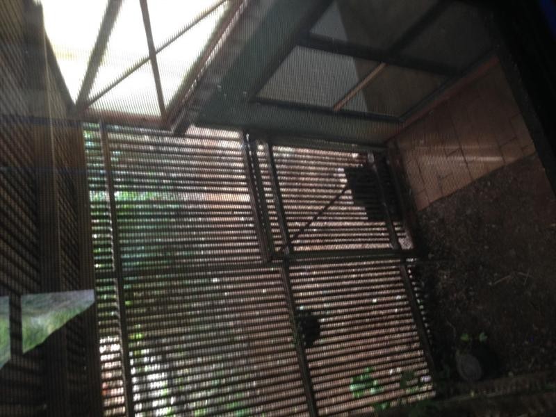 5 Hummock Road, Qunaba QLD 4670