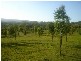 Mount Perry QLD 4671