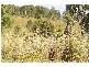 Mount Perry QLD 4671