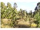 Mount Perry QLD 4671
