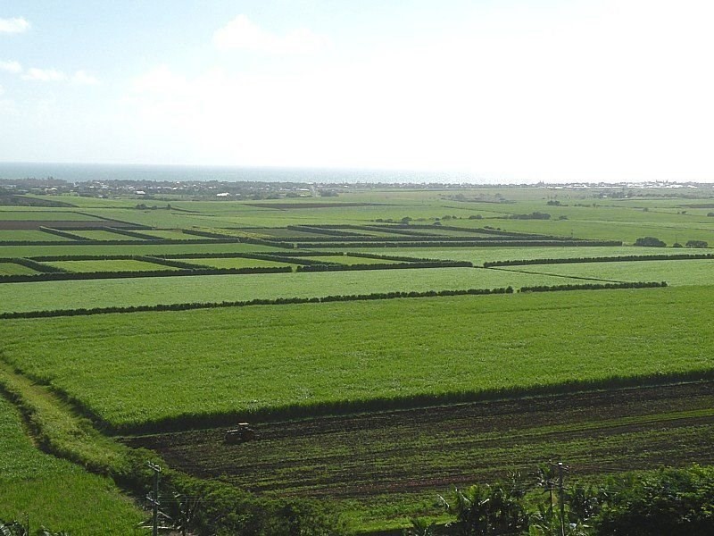 26 Heathwood Crescent, Qunaba QLD 4670