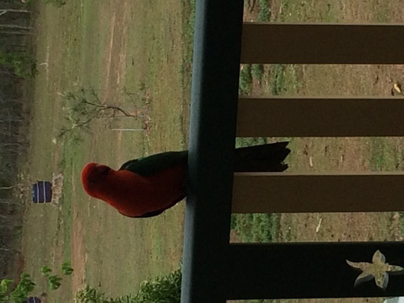 L49 4528 Bundaberg Gin Gin Road, Gin Gin QLD 4671