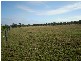 Gin Gin QLD 4671