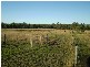 Gin Gin QLD 4671