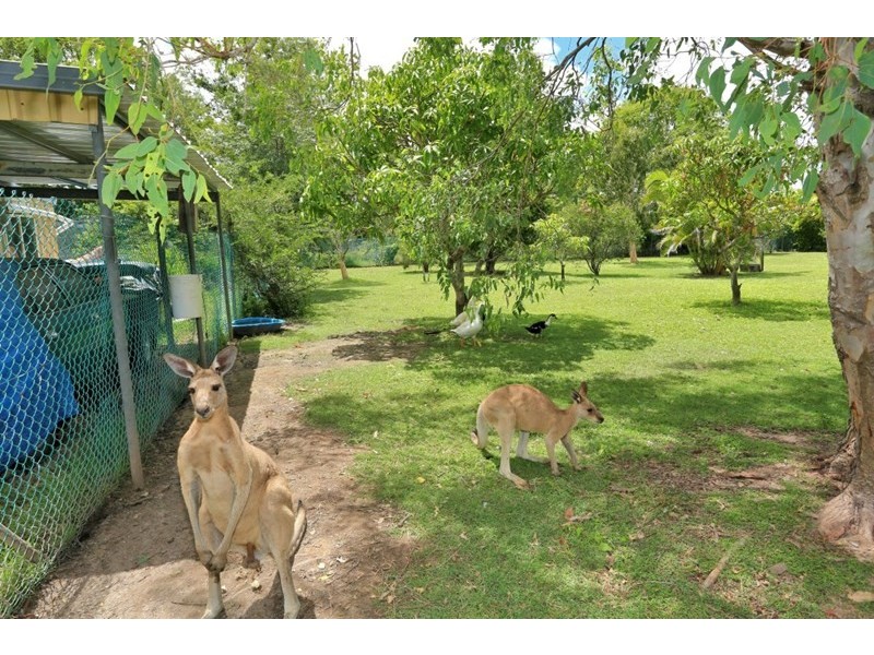 1 Pinto Avenue, Branyan QLD 4670