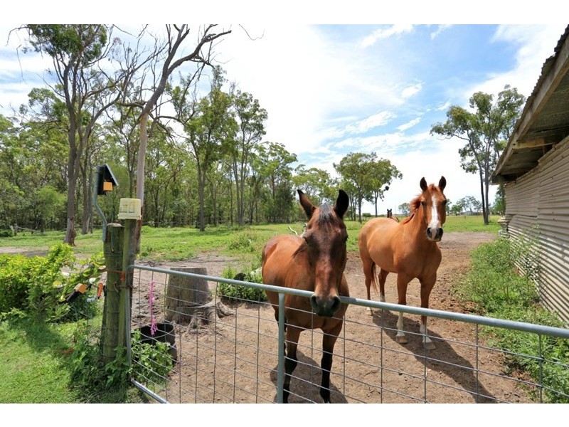 25 Low Street, Kensington QLD 4670