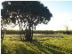 29 Pettigrew Drive, Bundaberg QLD 4670