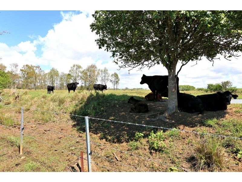 112 Kirbys Road, Rubyanna QLD 4670