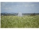 Bundaberg QLD 4670