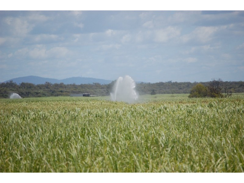 Bundaberg QLD 4670