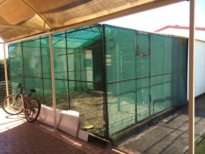 4 Parsloe Street, Svensson Heights QLD 4670