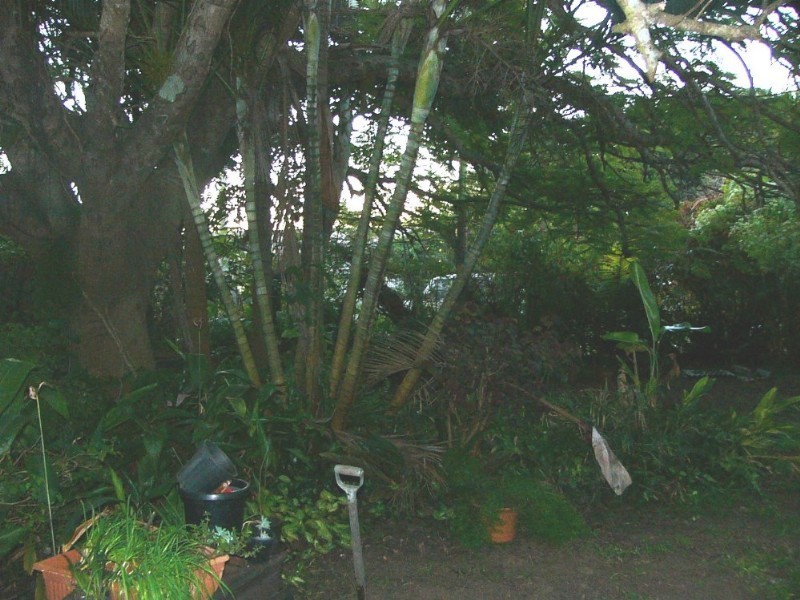 17 Murdochs Road, Moore Park Beach QLD 4670