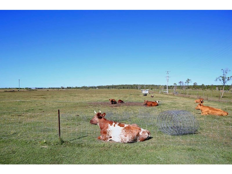 64 Fairydale Road, Welcome Creek QLD 4670