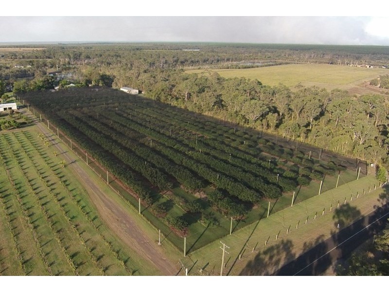 5 Willdora Drive, Elliott QLD 4670