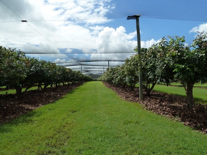 5 Willdora Drive, Elliott QLD 4670