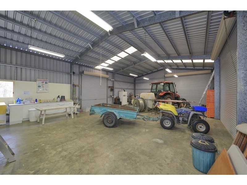 5 Willdora Drive, Elliott QLD 4670