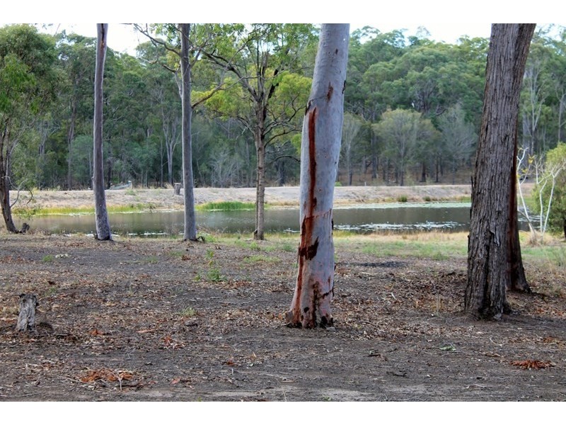 105 Bluegum Road, Bucca QLD 4670