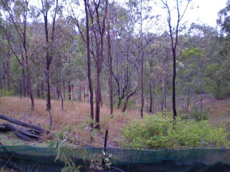 Gin Gin QLD 4671