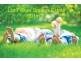 Lot 7 River Springs Estate, Avoca QLD 4670