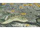 Lot 7 River Springs Estate, Avoca QLD 4670