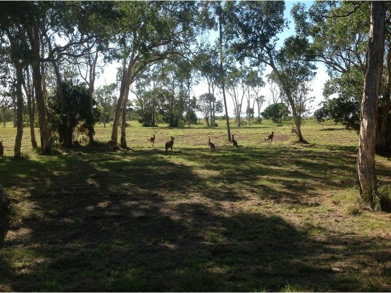 Moore Park Beach QLD 4670
