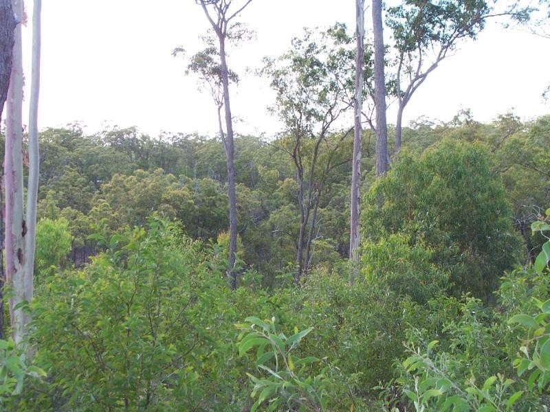 861 Duckpond Road, Moolboolaman QLD 4671