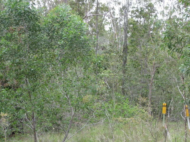861 Duckpond Road, Moolboolaman QLD 4671
