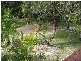 Bargara QLD 4670
