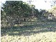 Lot 20 Ghost Gum Road, Sharon QLD 4670