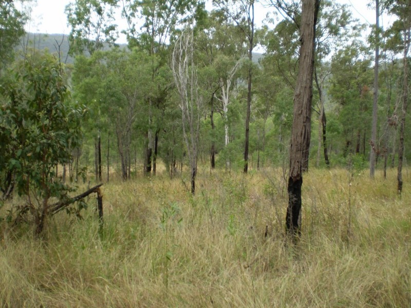 Mount Perry QLD 4671